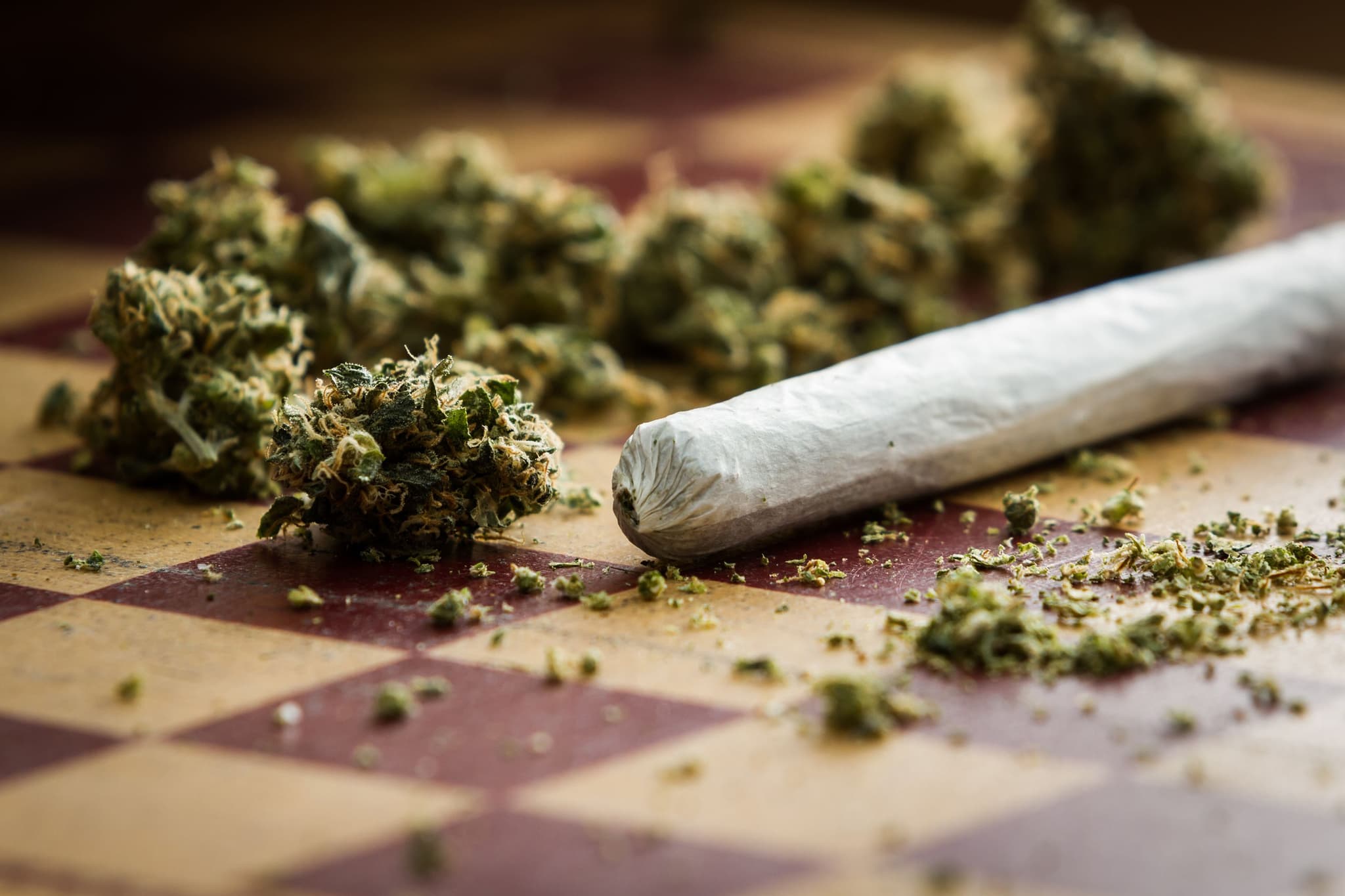 Europeans Choose Euro Weed Clinic to Buy Cannabis Extracts Europe Online