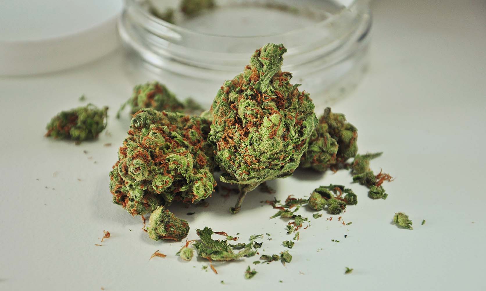 Secure U.S. Marijuana Marketplace Offering 420 Mail Order Weed Online